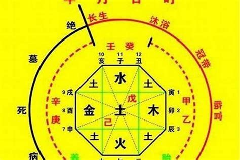 八字 神煞 查詢|八字排盘